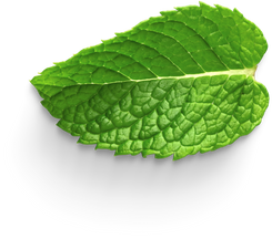 Mint Leaf Cutout